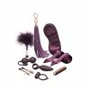 Shades Of Grey: Fifty Shades Freed Pleasure Overload Kit -EasyToys Shop epua902