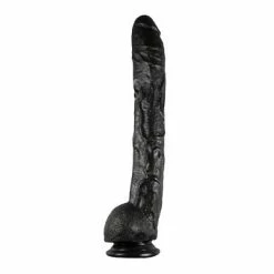 Dick Rambone Cock 42 X 6cm